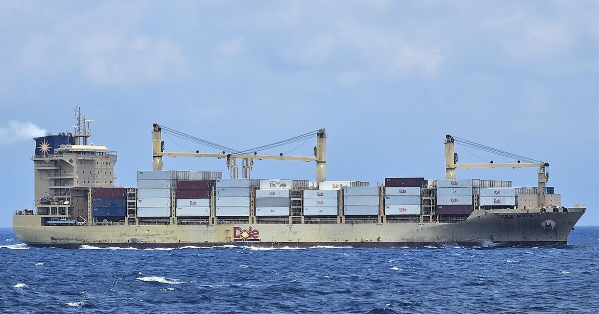 Container ship with deck cranes under way at sea
